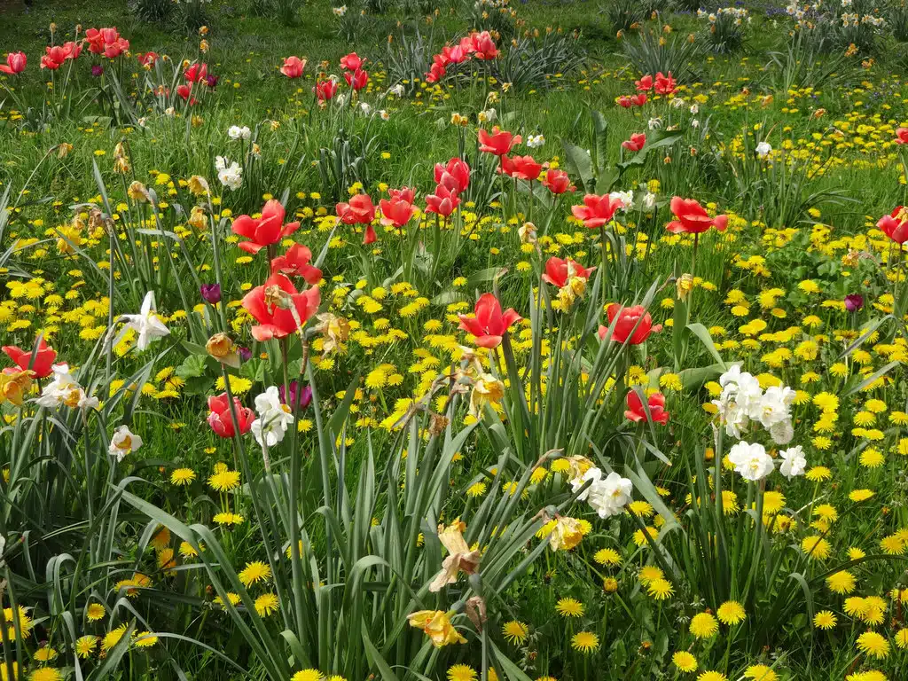 5 conseils pour prendre soin de son jardin au printemps